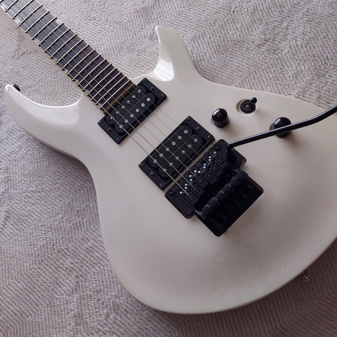 GRASS ROOTS ホライゾン　 フロイドローズ　セミハードケース付き