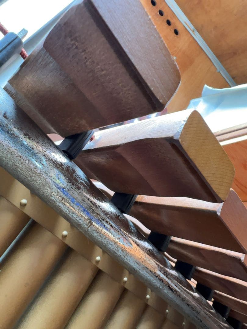 斉藤　マリンバ