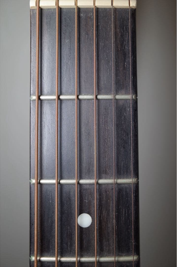 Taylor 114e アコースティックギター ギターケース付き 保証書あり