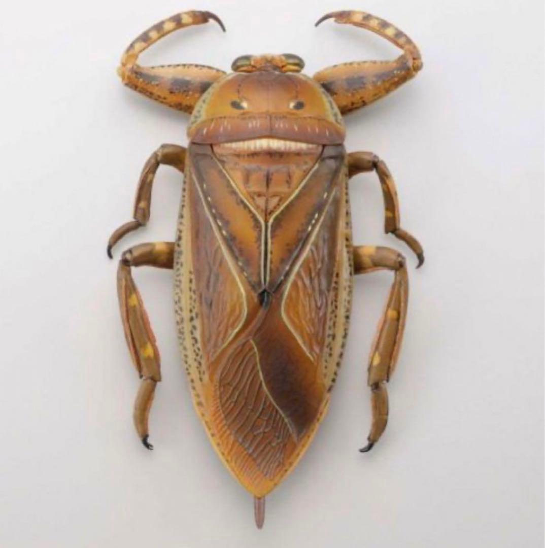 海洋堂 リボジオ　タガメ 未開封