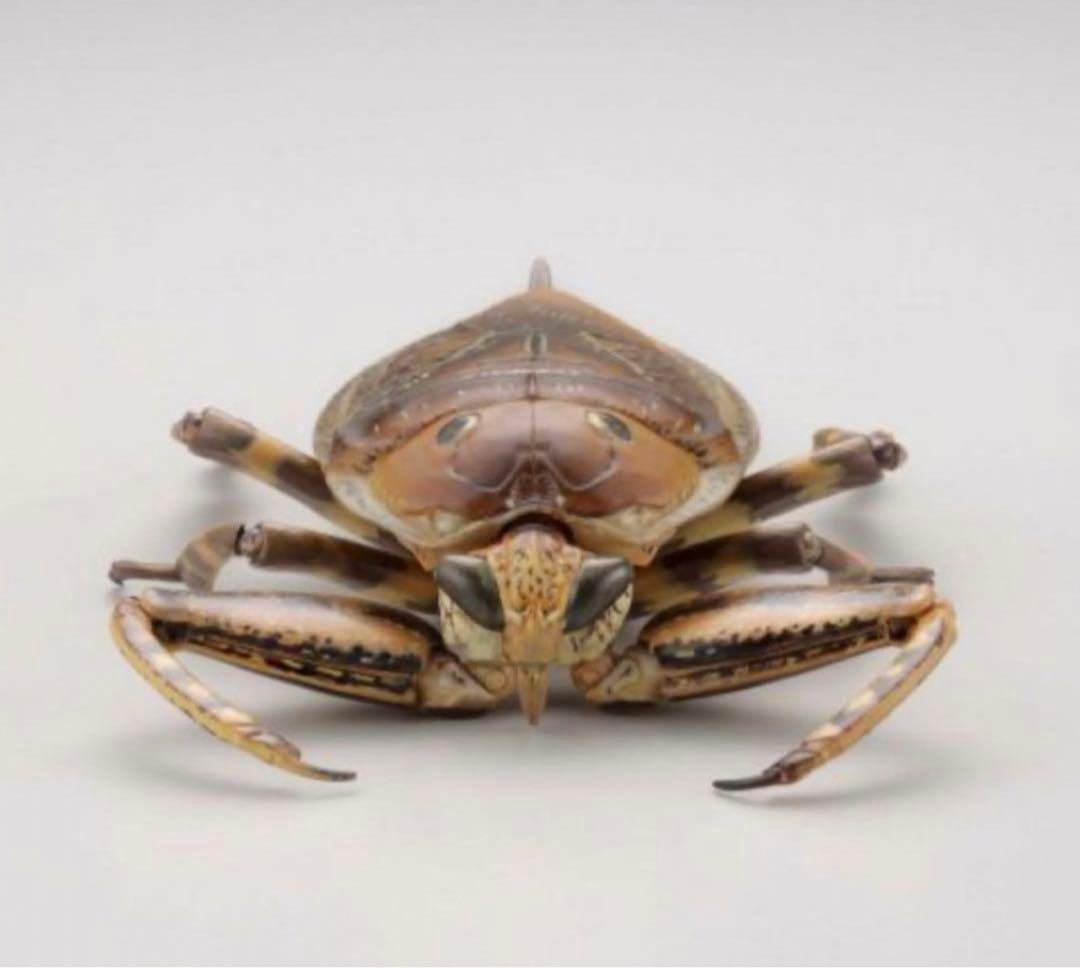 海洋堂 リボジオ　タガメ 未開封