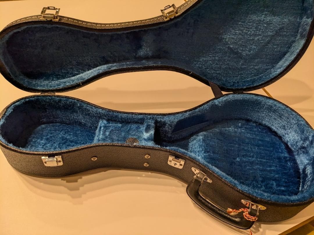 初心者用フラットマンドリン（1990年代製作）専用ハードケース付