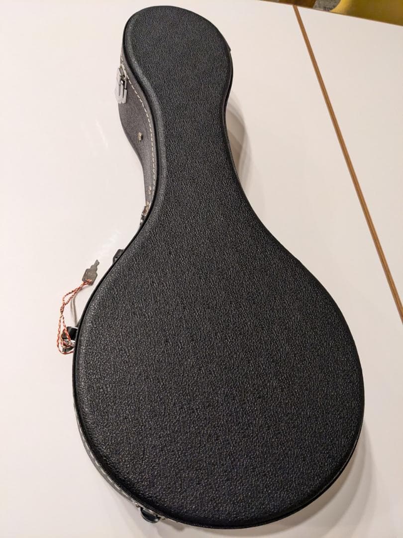初心者用フラットマンドリン（1990年代製作）専用ハードケース付
