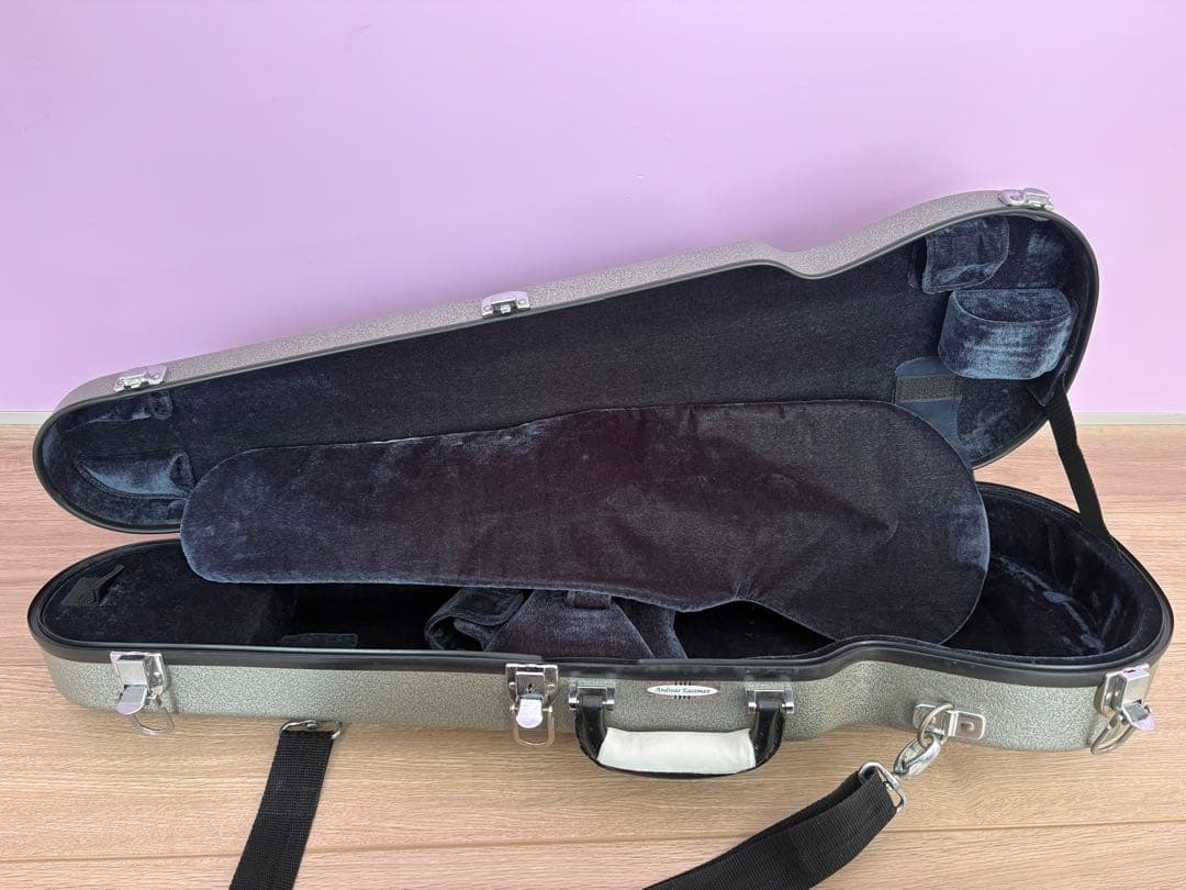 Andreas Eastman バイオリンケース　4/4サイズ