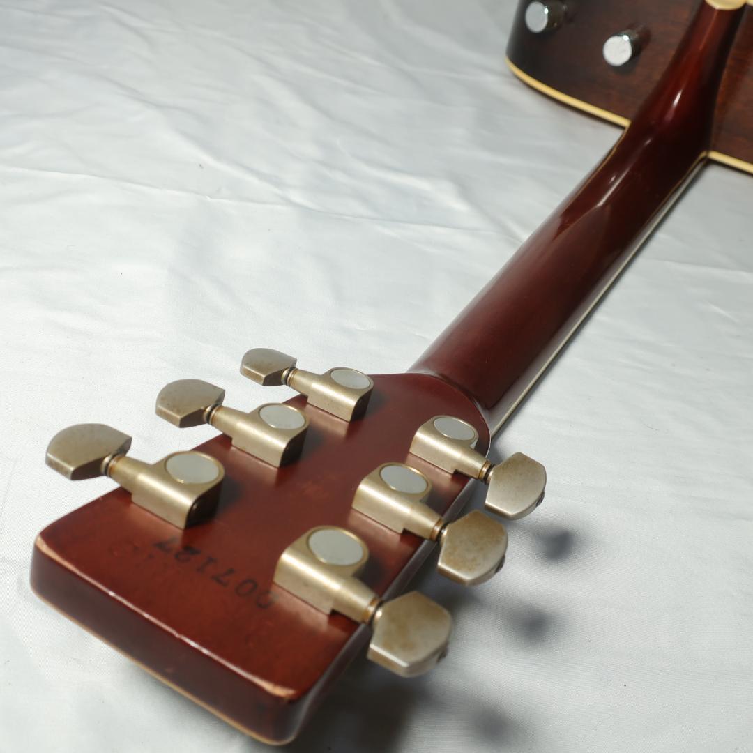 Morris W-30 改エレアコ アコースティックギター 装飾バインディング