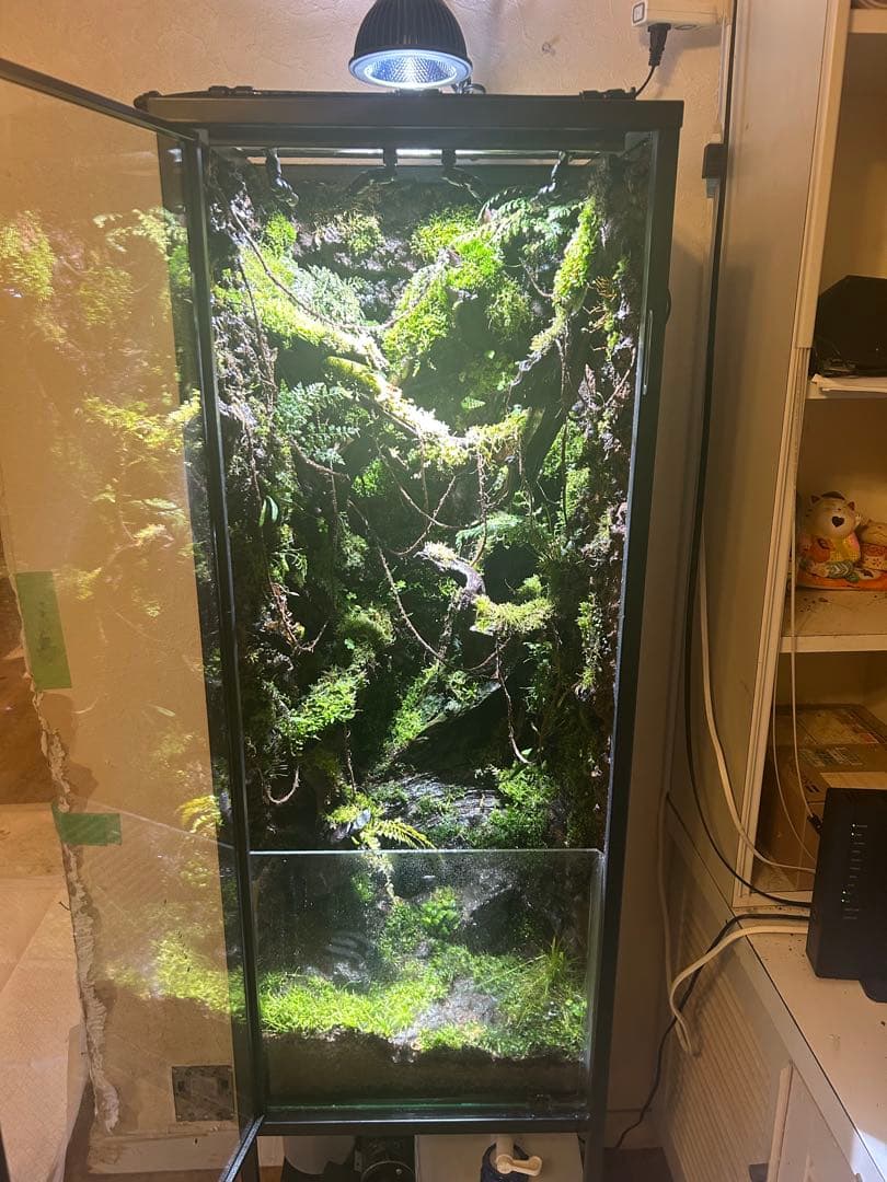 巨大テラリウム　縦型
