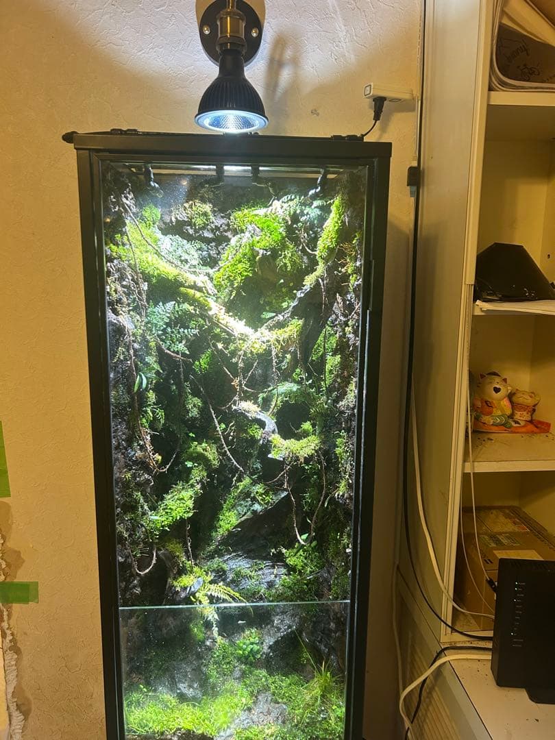 巨大テラリウム　縦型