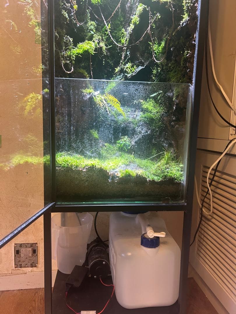 巨大テラリウム　縦型