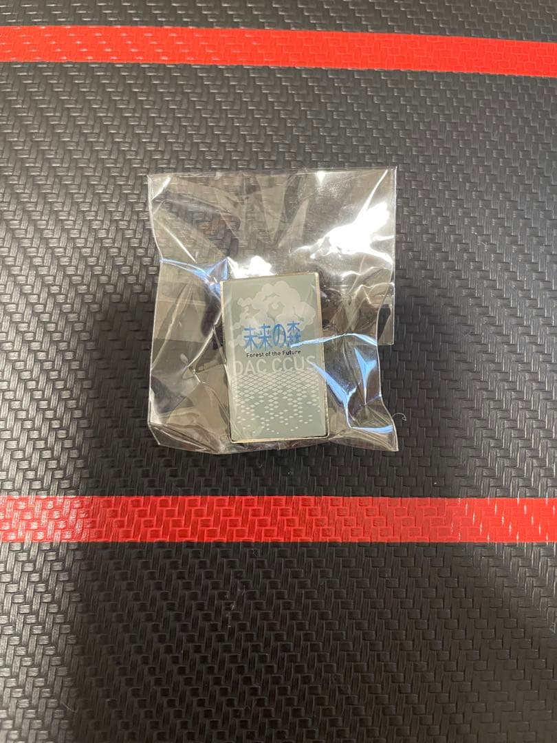 【希少】RITE 未来の森 ピンバッジ