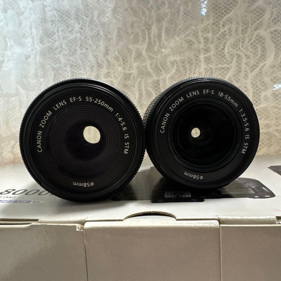 Canon EOS 8000D ダブルズームキット