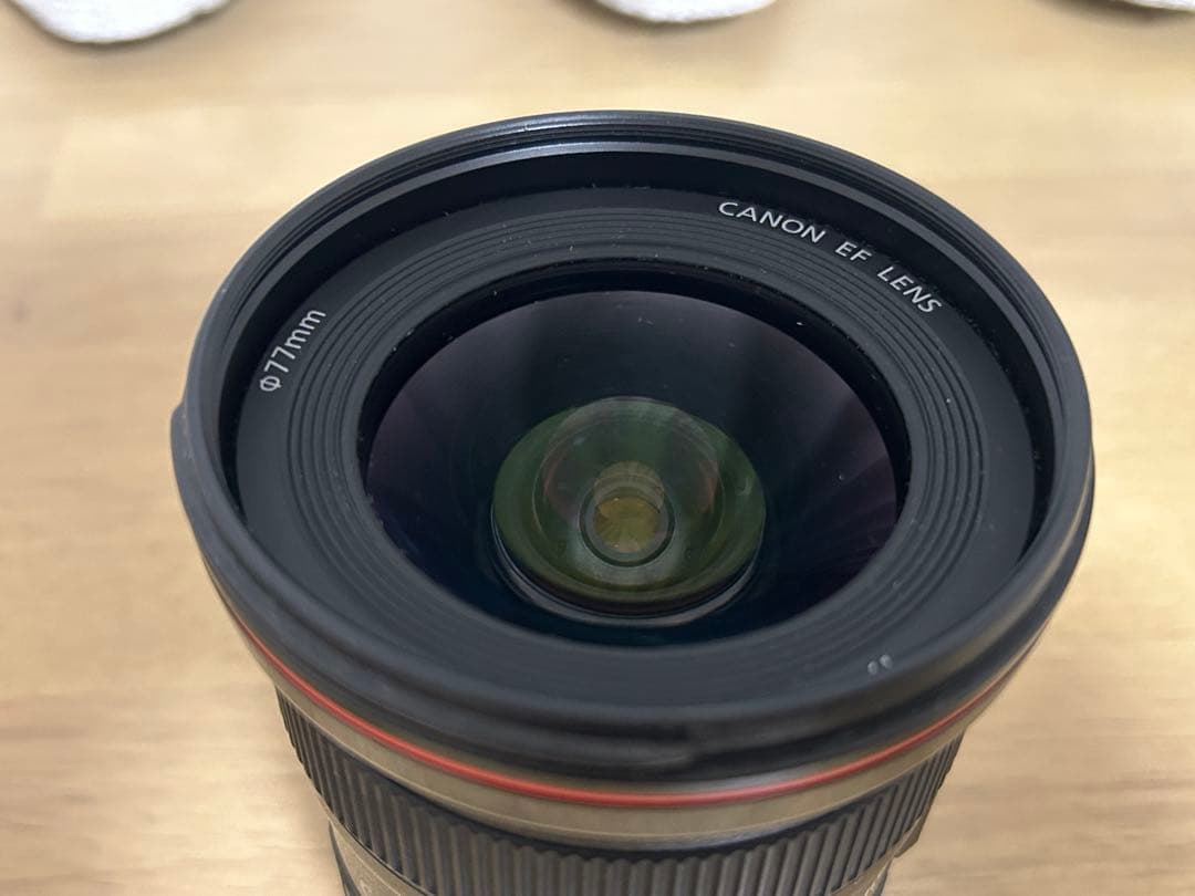 Canon EF 17-40mm f/4L USM ズームレンズ#132
