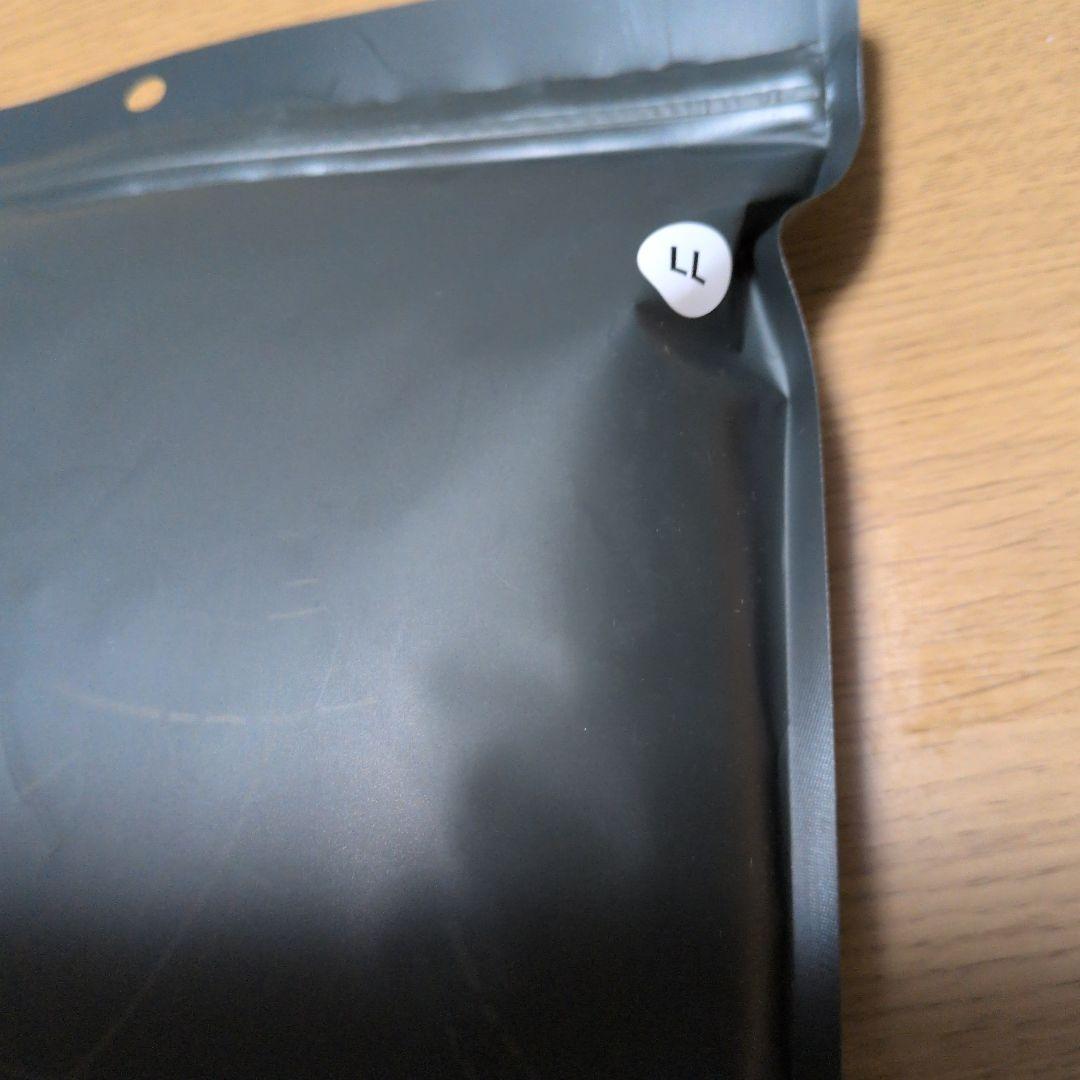 アルファアイコン　スノードックガードエアー　ALPHAICON LL