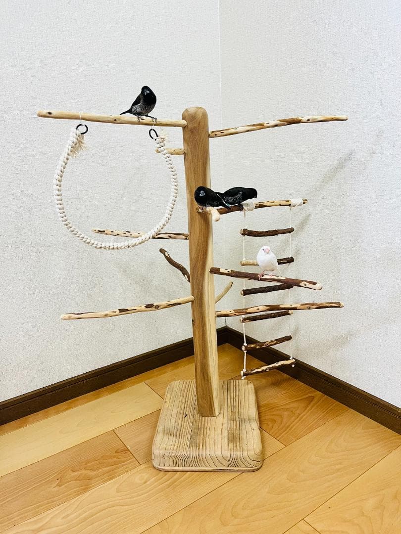 【小鳥用】ブランコ＆ハシゴ付　♬螺旋状 バードアスレチック