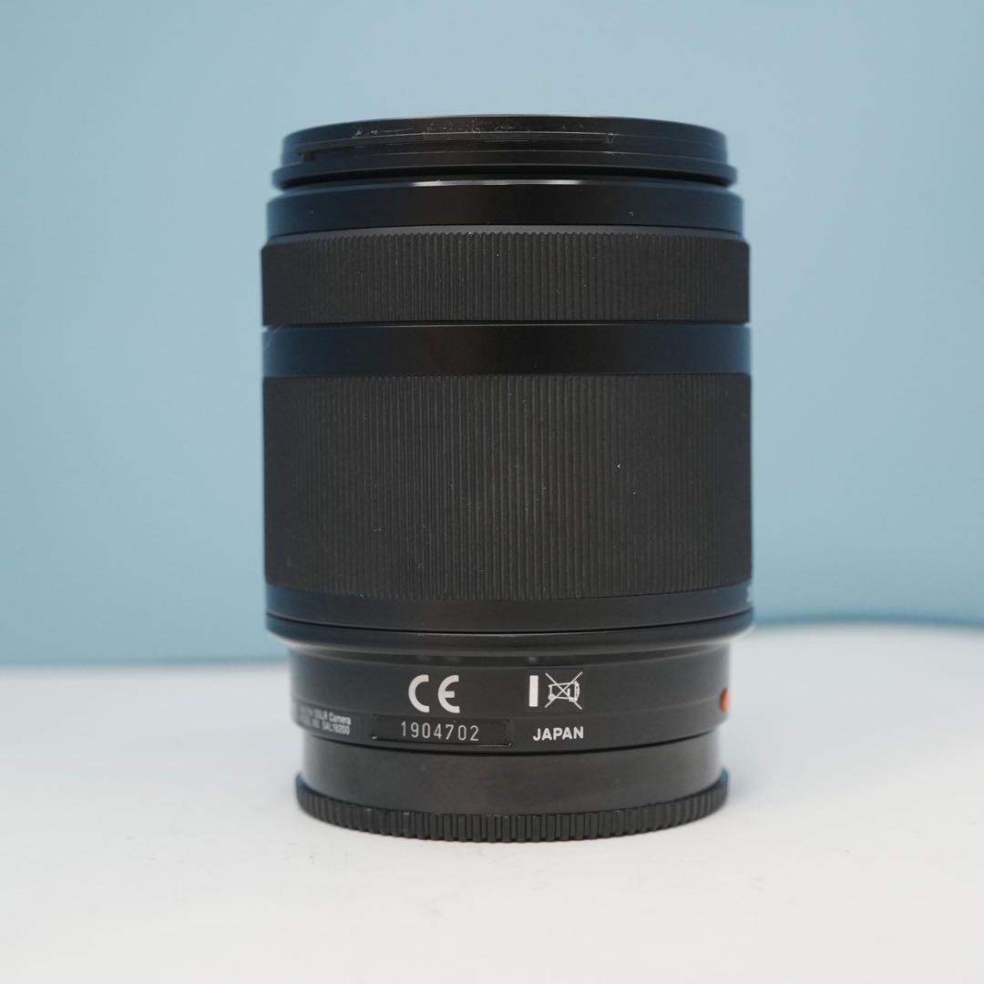 SONY純正 18-200mm 標準+望遠レンズ 極美品 a4694