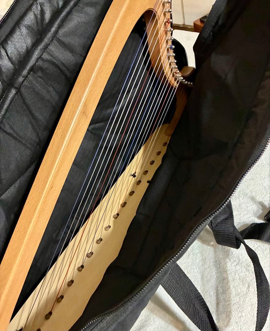 【値下げ】美品 ゴシックハープ 19弦_送料込み
