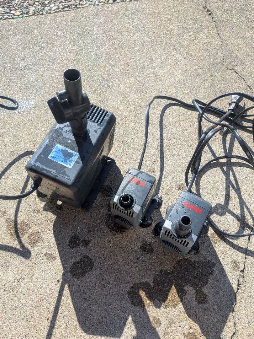 Rio 3100 エーハイム1022 50Ｈｚセット