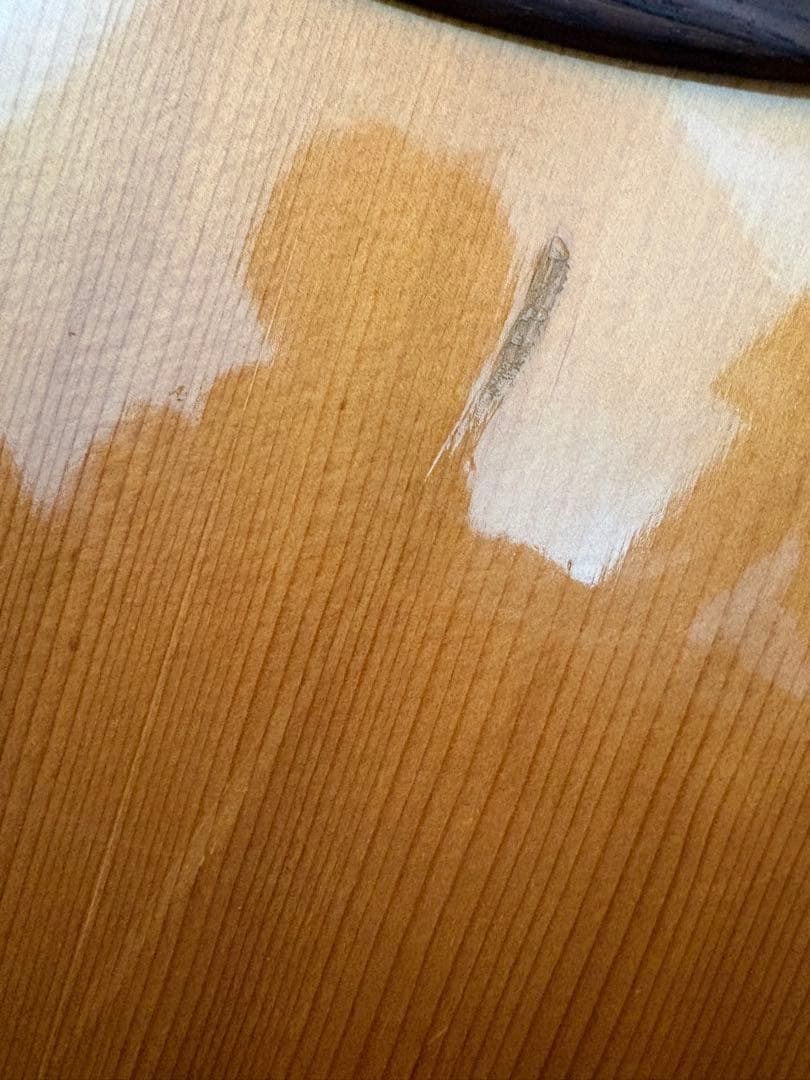 Yamaha FG-160 ハードケース付き 激鳴り