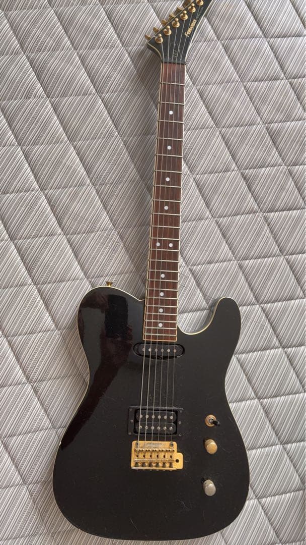 FERNANDES エレキギター 特別版 ブラック