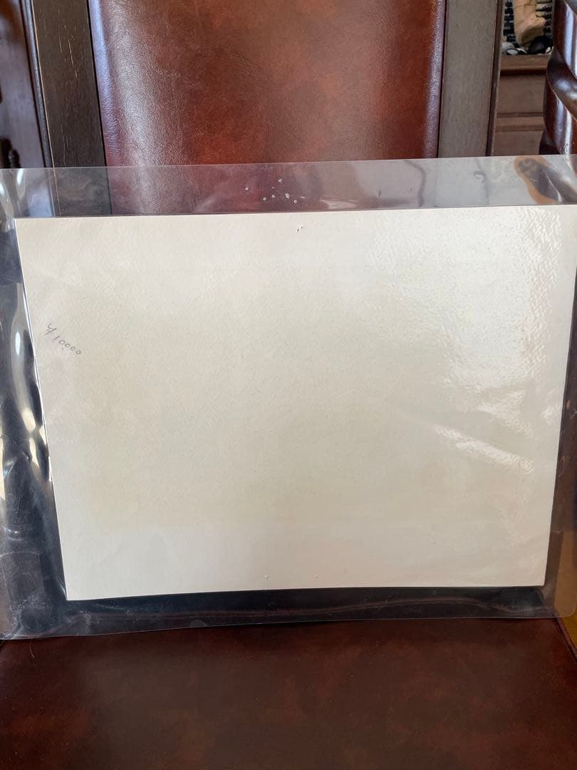 La Forêt Vosgienne 手彩色版画