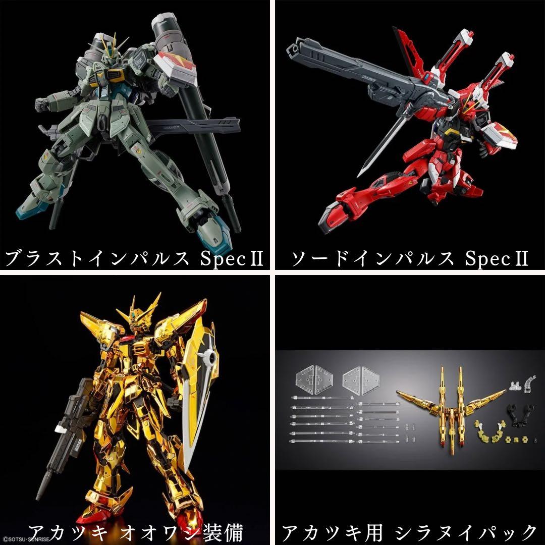 SEED FREEDOM RG セット