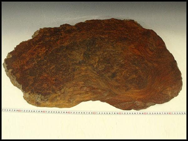 自然木 葡萄木 敷板 大判 81cmx50cm 花梨 紅木 銘木(A464)