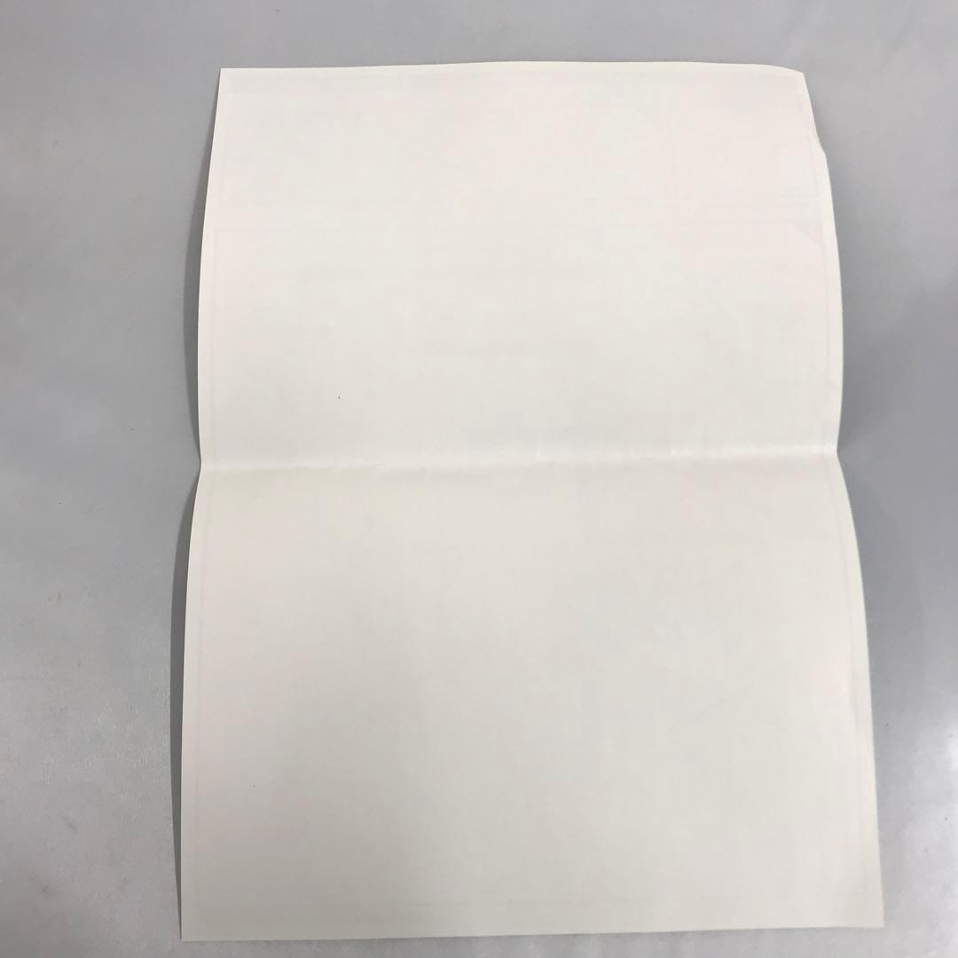 セイバー/ネロ・クラウディウス〔第一再臨〕 「Fate/Grand Order」