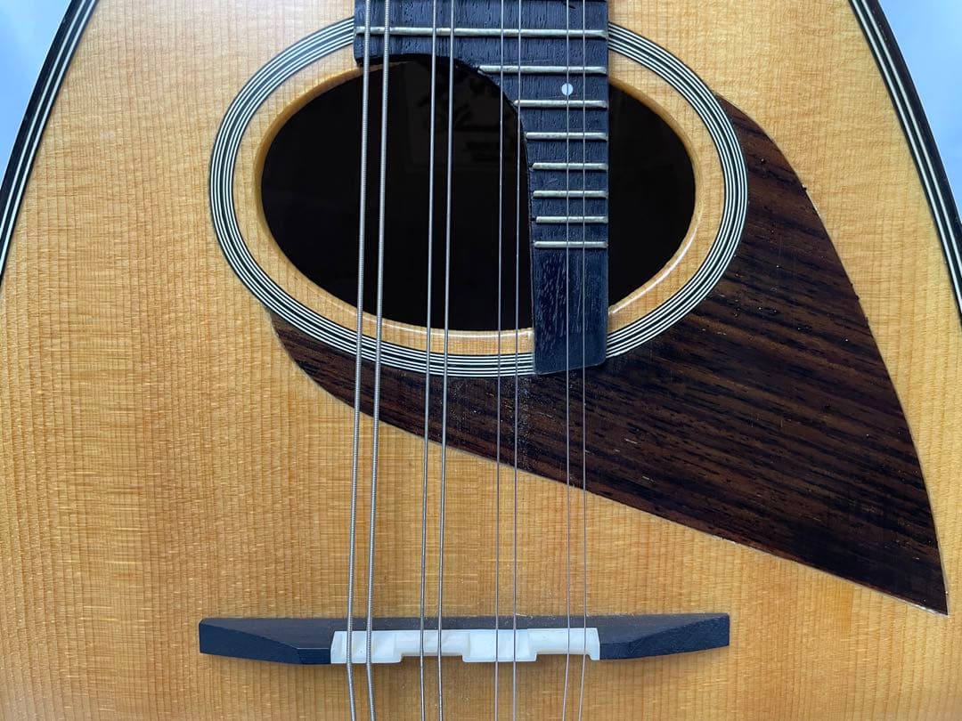 嶋田/エンジェルマンドリン モデル:BN