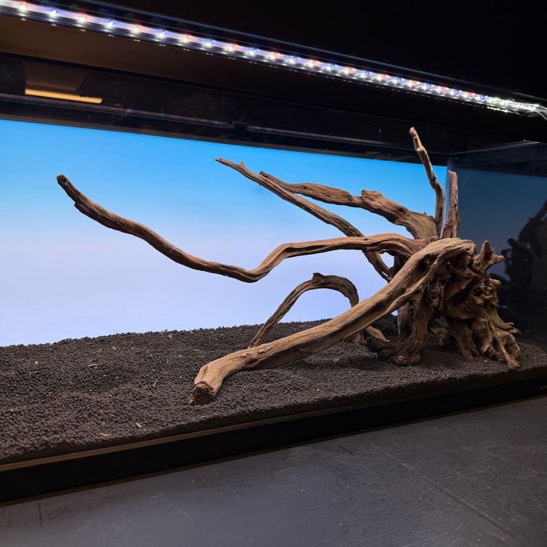MSRW-6834 天然流木レイアウトセット　スリムウッド　アクアリウム