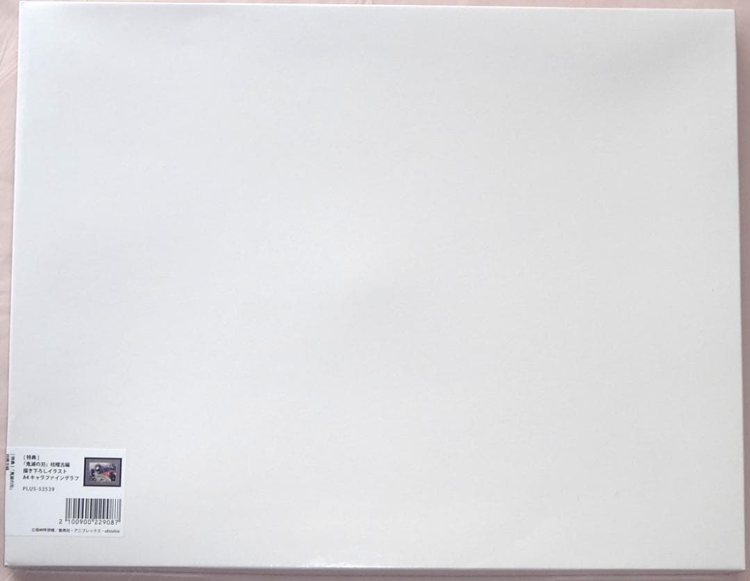 鬼滅の刃 柱稽古編 冨岡義勇 キャラファイングラフ アニプレックス全巻購入特典