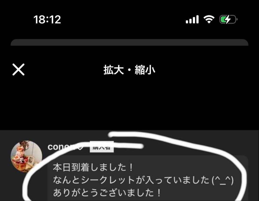 【正規品・未開封】 Labubu Big into Energy 2箱