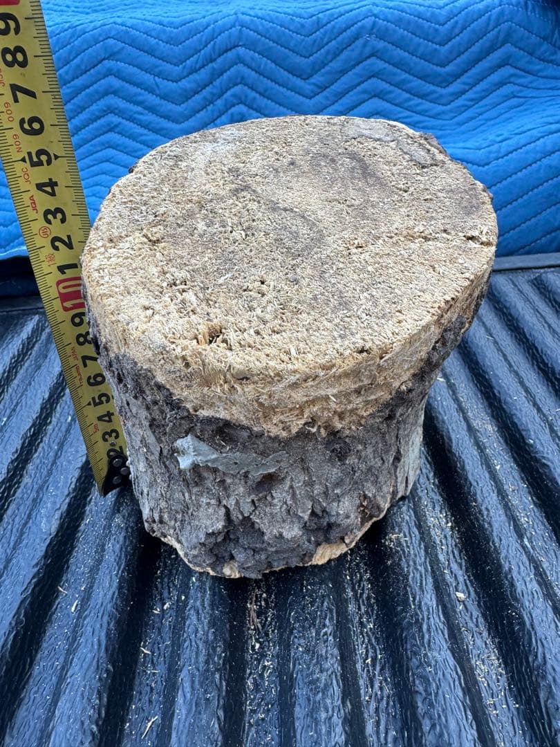 ベトナム材　VN材　13cm×15cm 産卵木