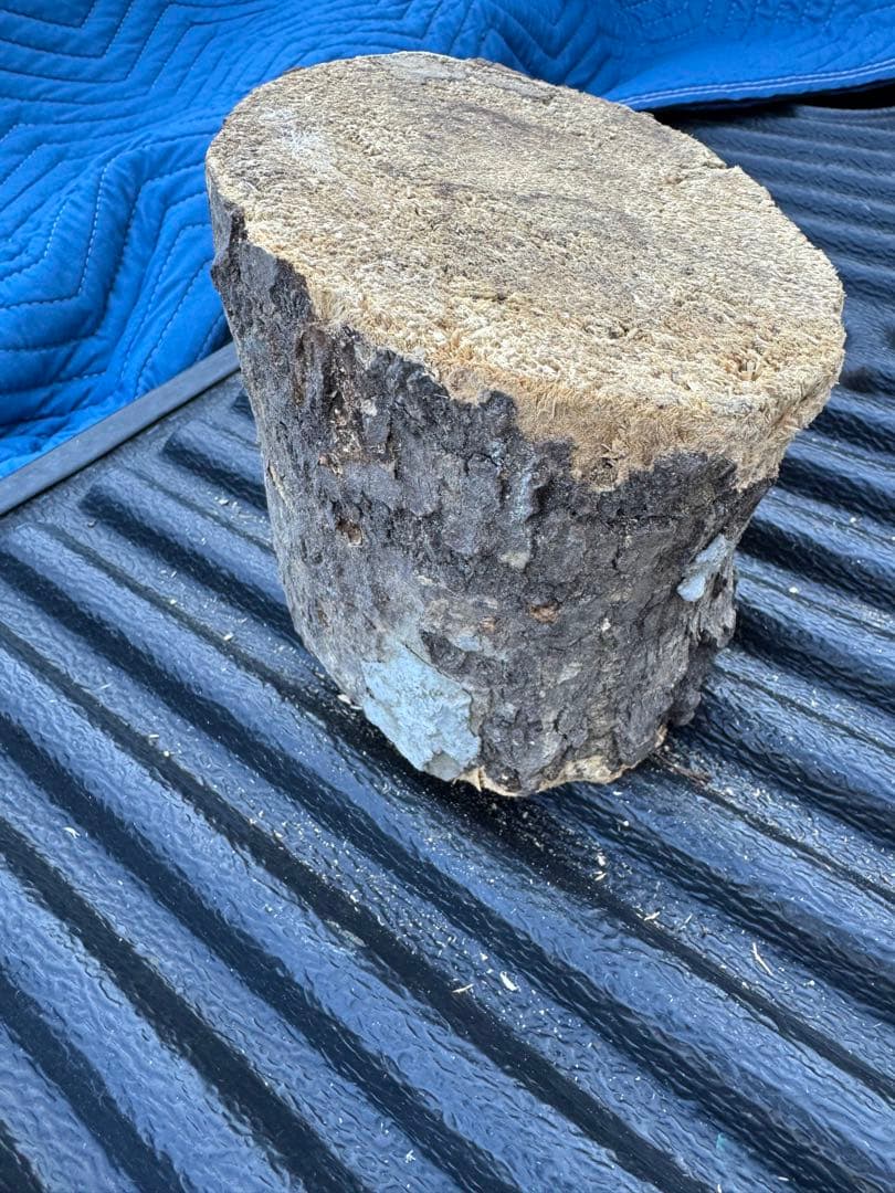 ベトナム材　VN材　13cm×15cm 産卵木