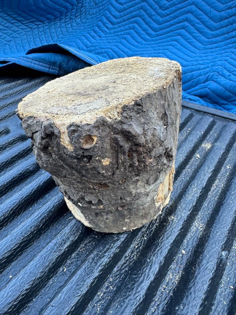 ベトナム材　VN材　13cm×15cm 産卵木