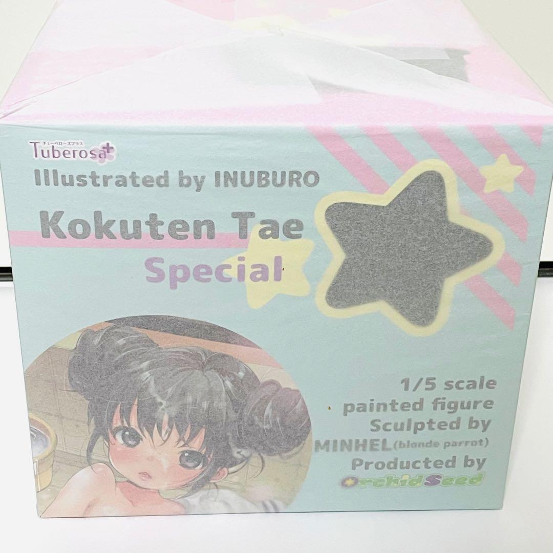 【未開封】国天妙 すぺしゃる いぬぶろ 1/5 フィギュア