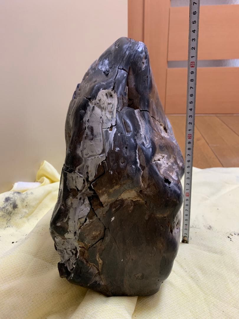 珪化石 木の化石 木化石 鑑賞置物 現状品 ジャンク品