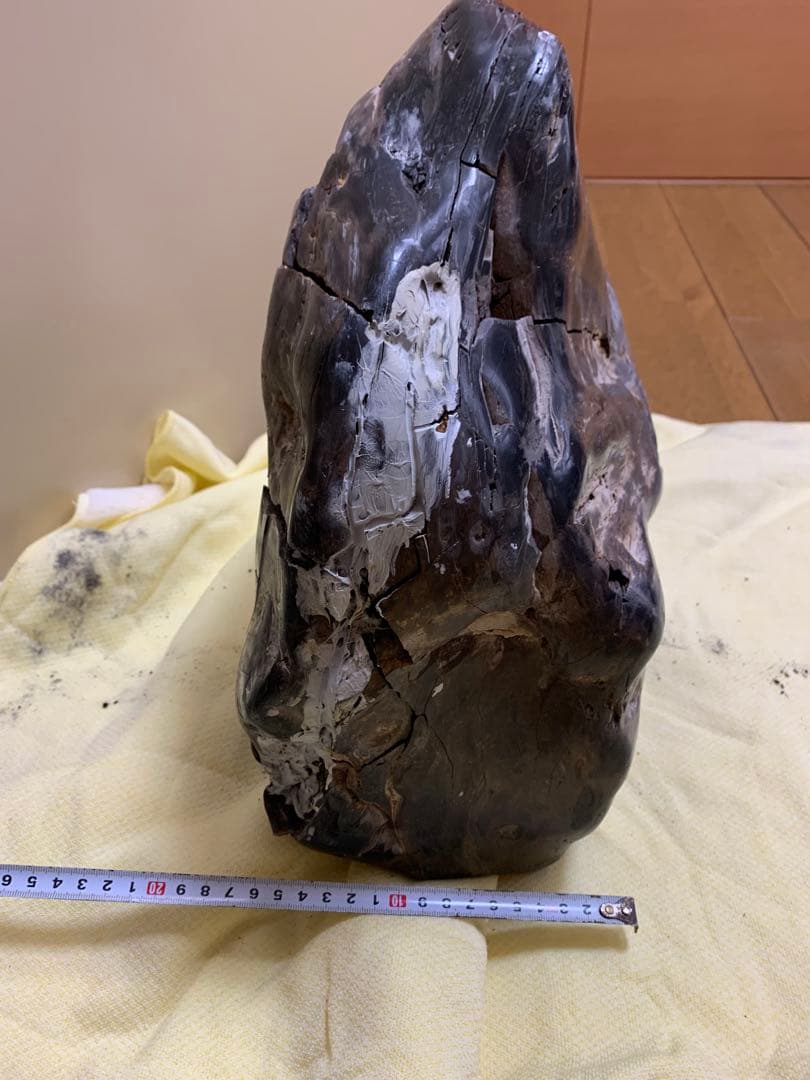 珪化石 木の化石 木化石 鑑賞置物 現状品 ジャンク品