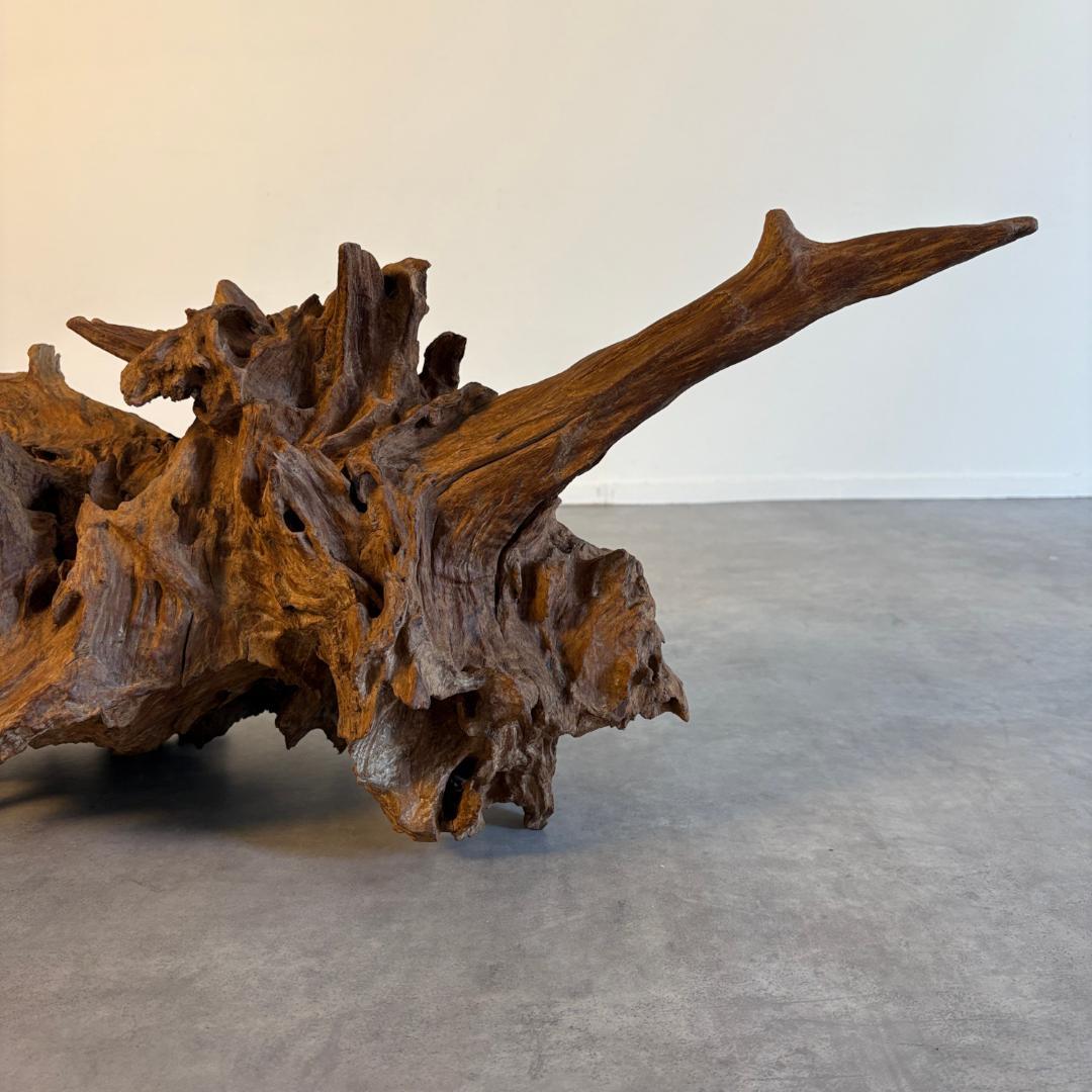 御神木　アート　インテリア　生花　オブジェ