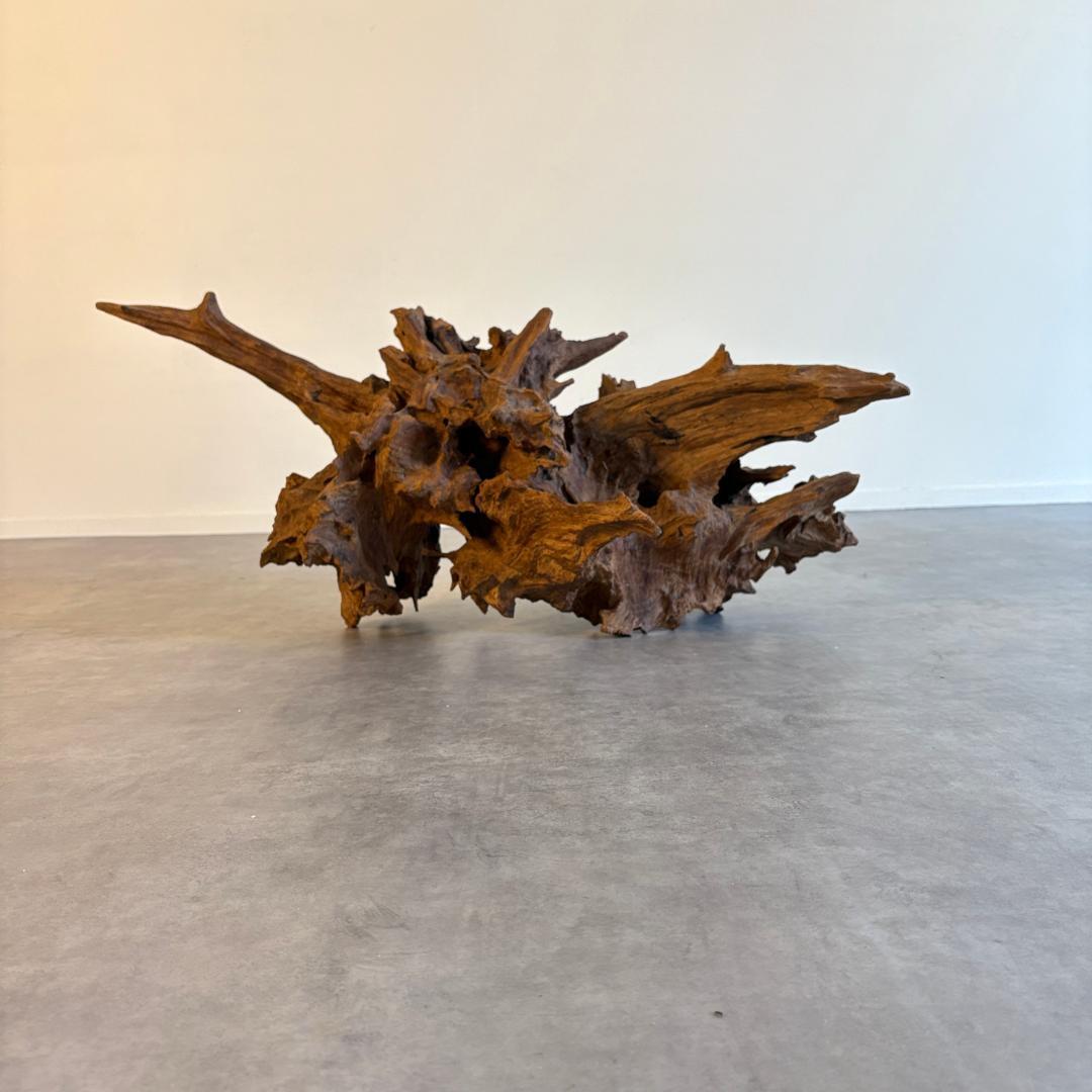 御神木　アート　インテリア　生花　オブジェ