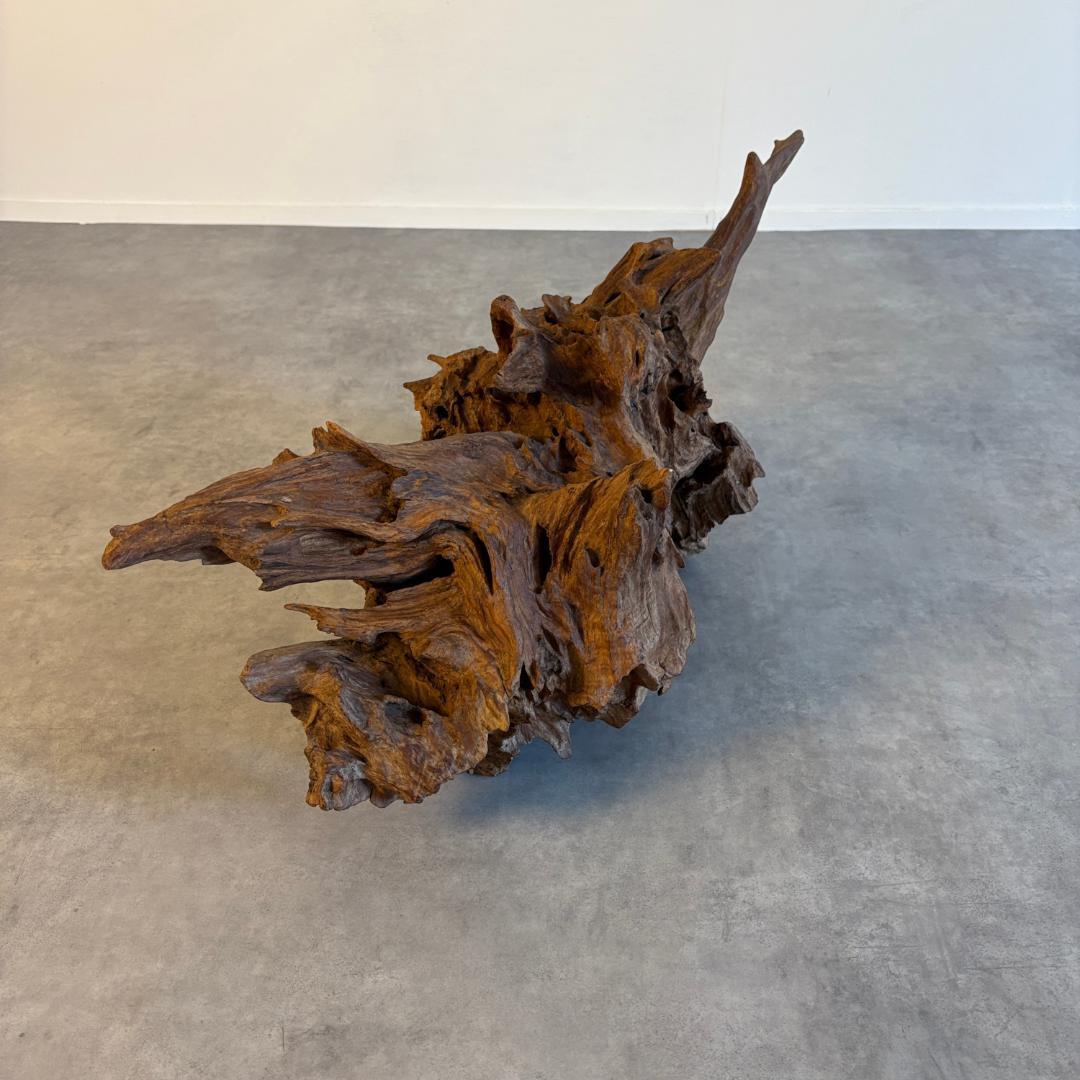 御神木　アート　インテリア　生花　オブジェ