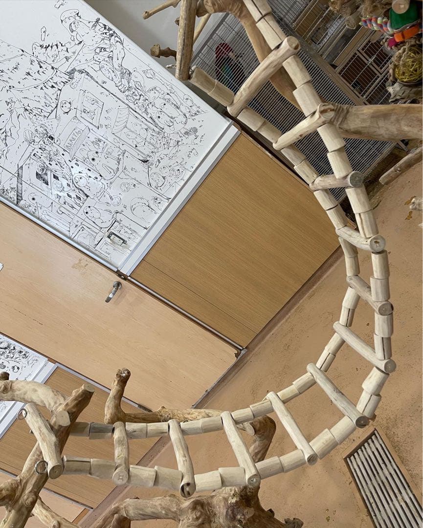 大型インコ、オウムおもちゃ