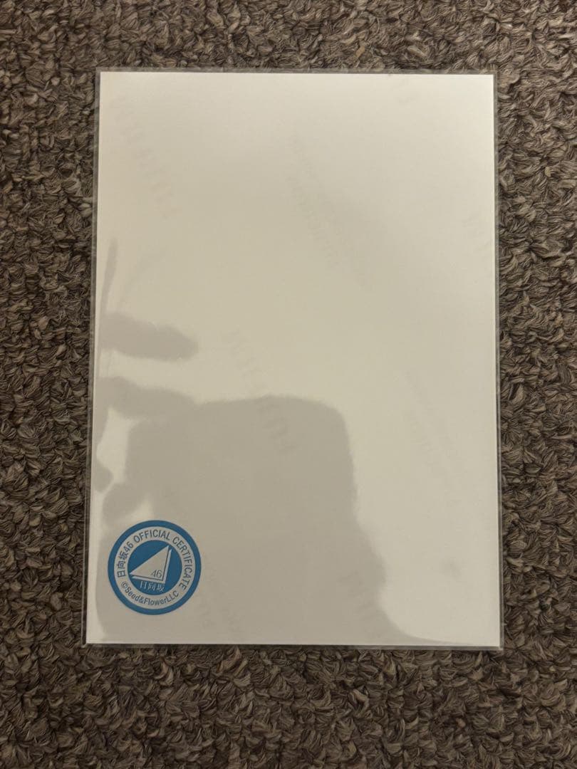 日向坂46 小坂菜緒 生写真 2024年浴衣 直筆サイン ヒキ