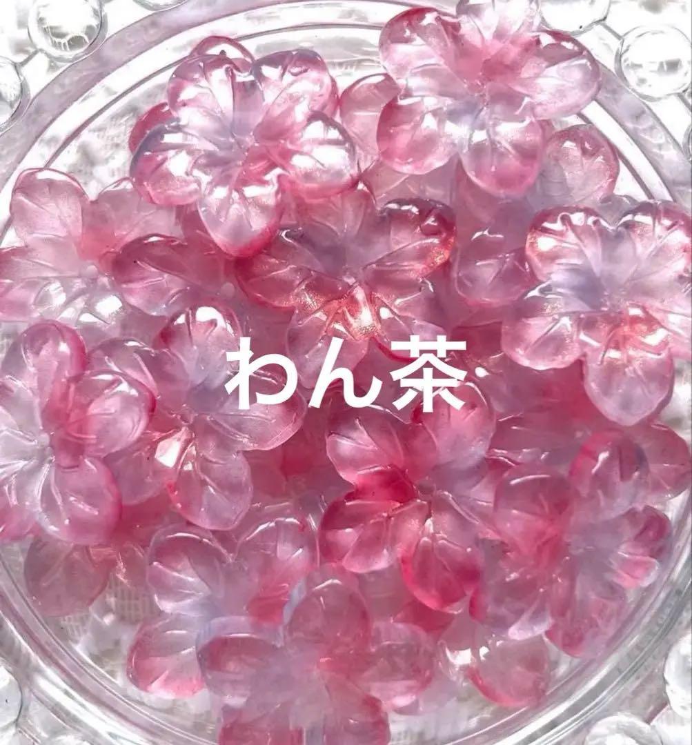 わん茶ちゃん コンパクト