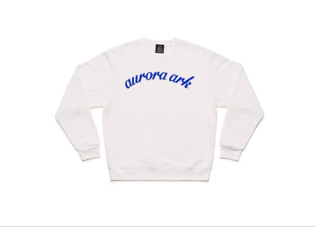 BUMP OF CHICKEN aurora ark スウェット L