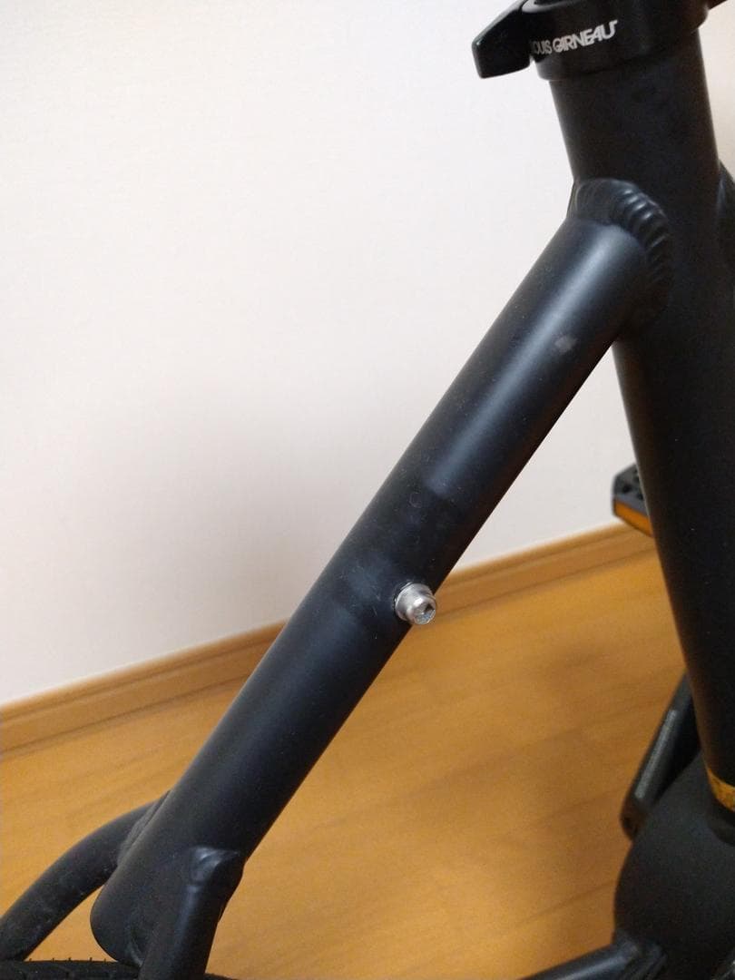 ルイガノ ASCENT e-sports