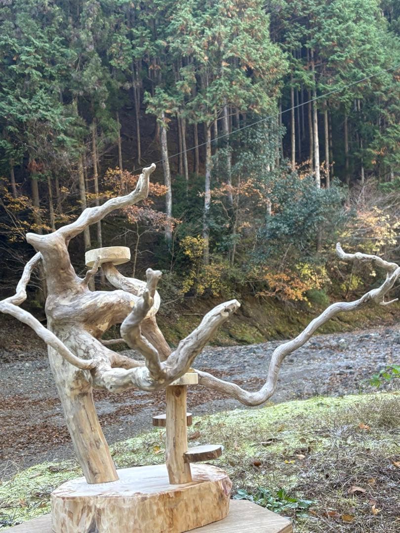 ハンドメイド　バードアスレチック　バードジム