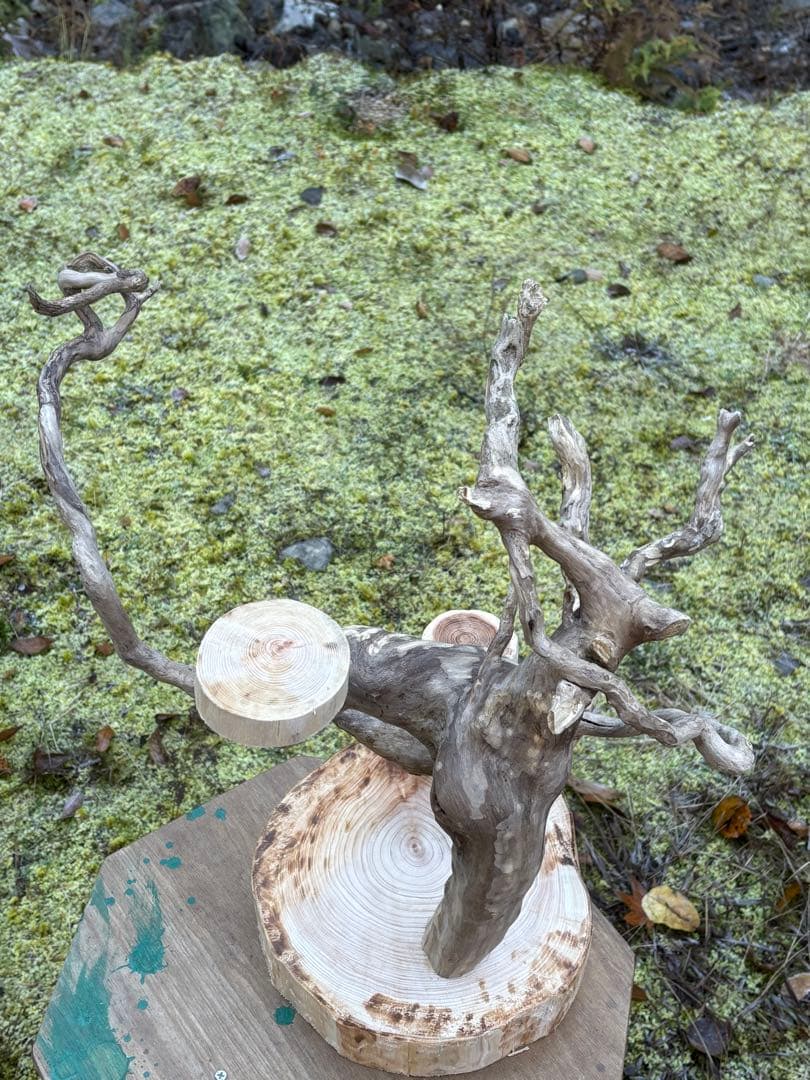 ハンドメイド　バードアスレチック　バードジム