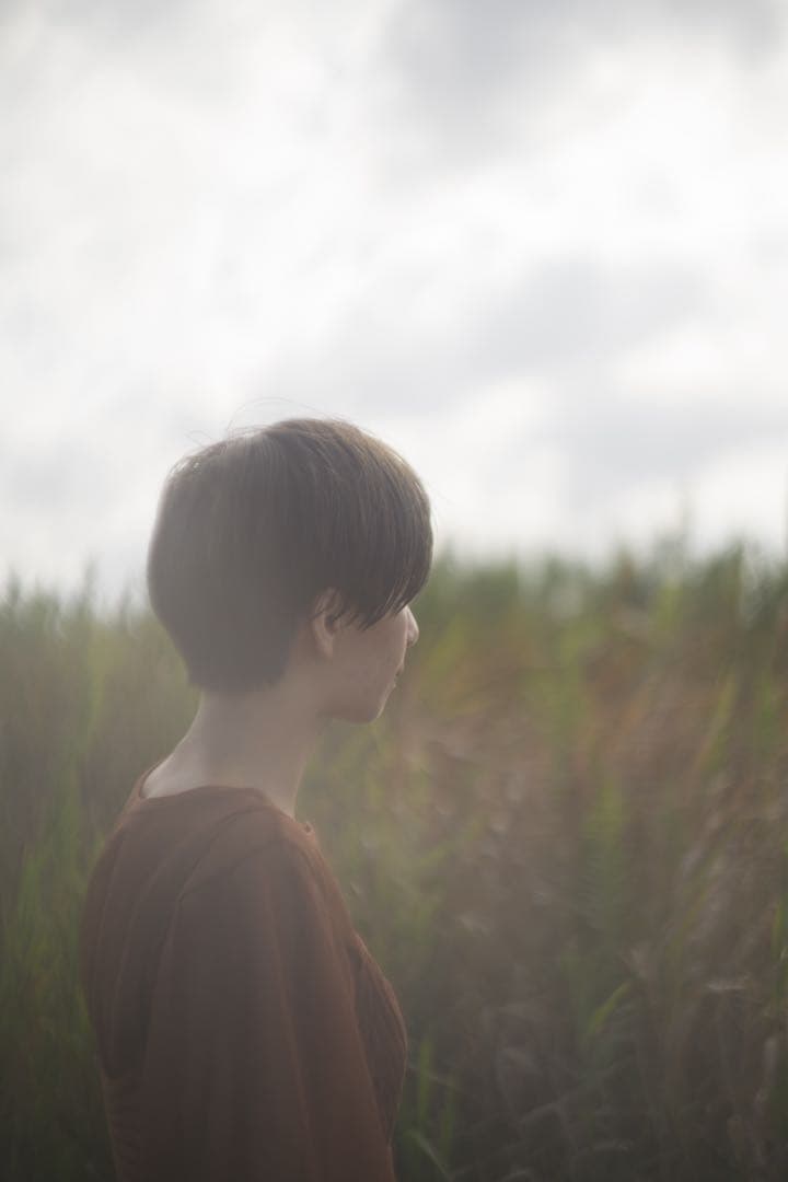 レンズ(単焦点) Leica summarit 50mm f1.5