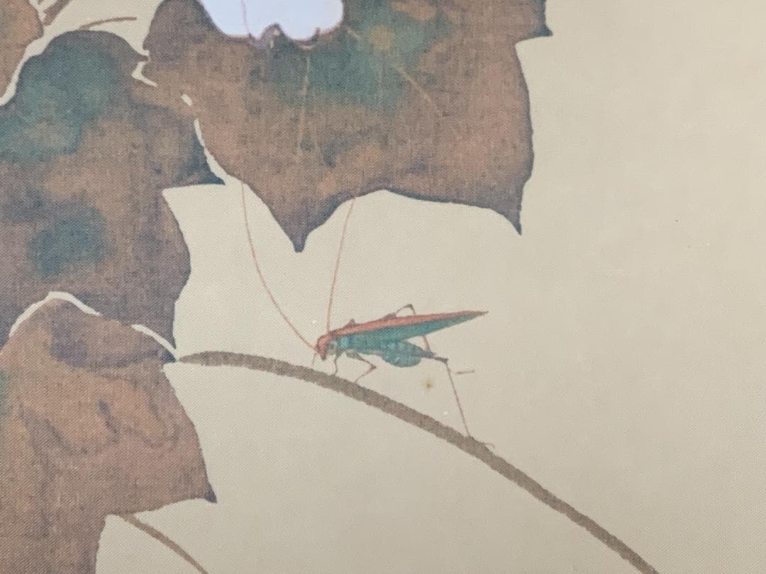酒井抱一 秋草螽斯図 絹本 豪華復刻版 複製掛軸 江戸琳派 花鳥図 524