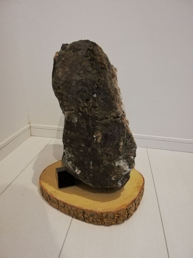 大菊　菊花石　11㎏