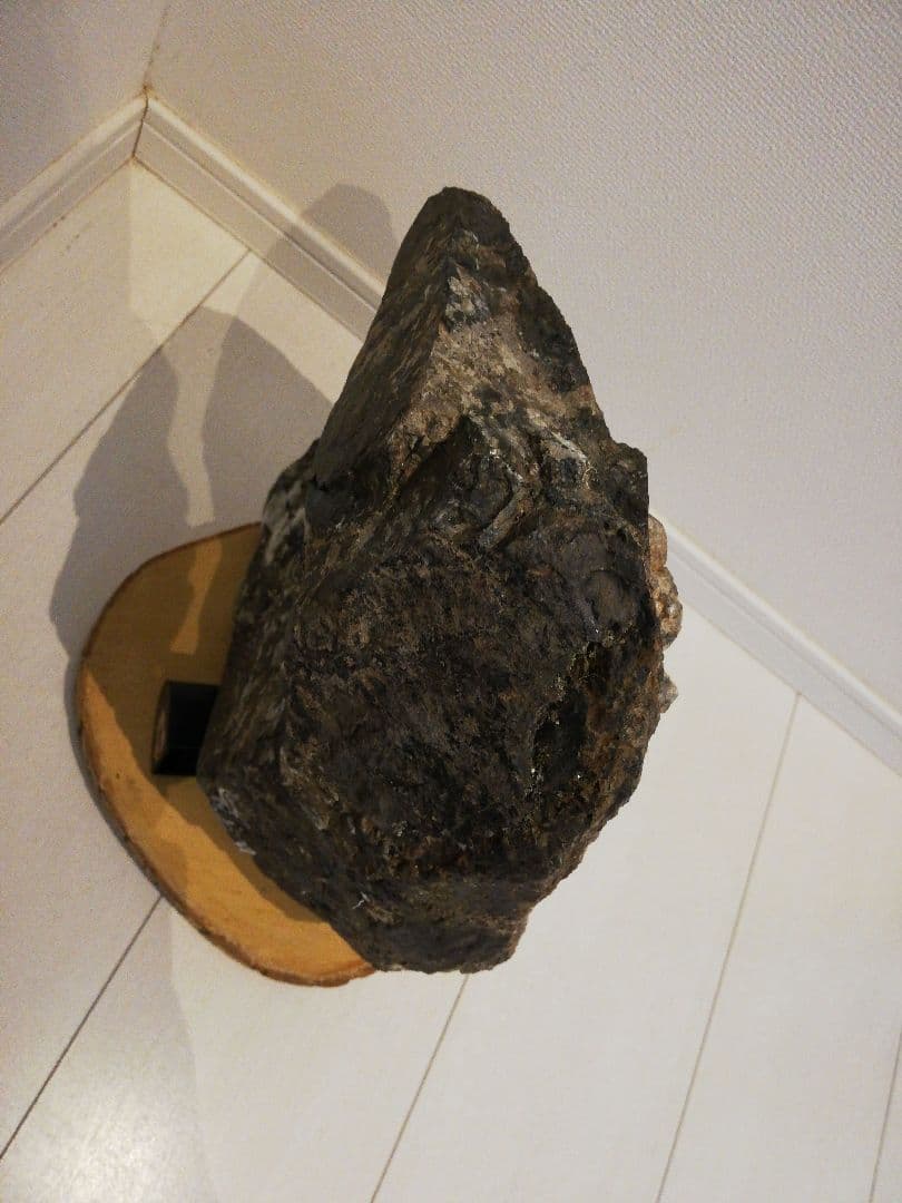 大菊　菊花石　11㎏